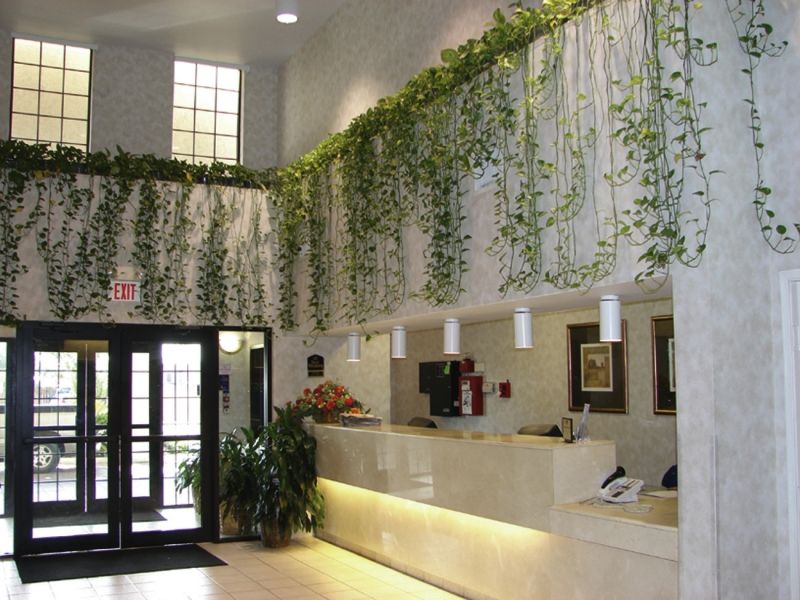 Quality Inn & Suites Airport أوستن المظهر الخارجي الصورة